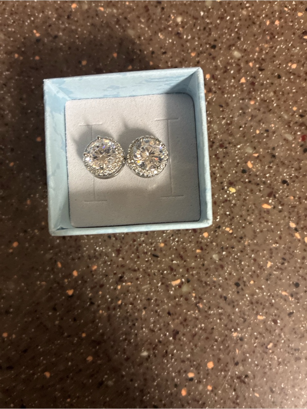 Sparkling CZ Halo Stud Earrings in Silver